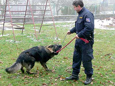 Zástupci Policie ČR předvedli ukázky své činnosti v ZŠ a MŠ Dolní Třebonín, 22. listopadu 2007, foto: Jan Švec