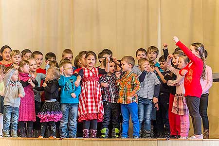 Setkání důchodců obce Dolní Třebonín 5.3.2015, foto: Lubor Mrázek