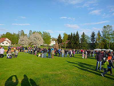 Pálení čarodějnic, Dolní Třebonín 30.4.2015, foto: Jan Švec