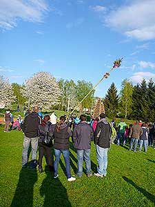 Pálení čarodějnic, Dolní Třebonín 30.4.2015, foto: Jan Švec