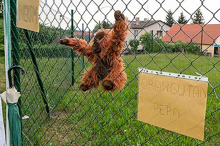 Rozloučení se školou 27.6.2015, foto: Lubor Mrázek