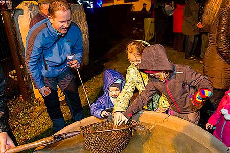 Zpívání u vánočního stromu 18.12.2015, foto: Lubor Mrázek