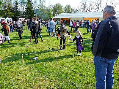 Pálení čarodějnic, Dolní Třebonín 30.4.2016, foto: Jan Švec