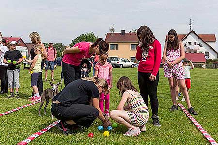 Jarní Dětský Třebonín Petangue Open 29.6.2016, foto: Lubor Mrázek