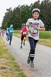 Triatlon Dolní Třebonín 11.6.2016, foto: Lubor Mrázek