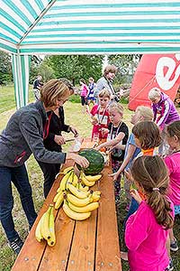 Triatlon Dolní Třebonín 11.6.2016, foto: Lubor Mrázek