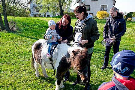 Pálení čarodějnic, Dolní Třebonín 30.4.2016, foto: Jan Švec