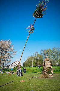 Pálení čarodějnic, Dolní Třebonín 30.4.2016, foto: Jan Švec