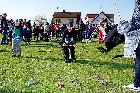 Pálení čarodějnic, Dolní Třebonín 30.4.2016, foto: Jan Švec