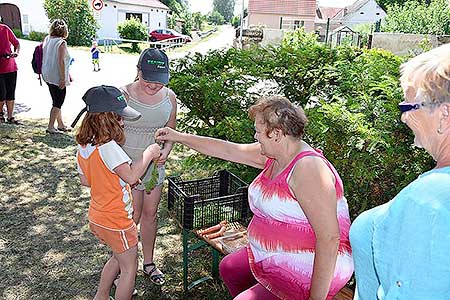 Rozloučení se školou v Dolním Třeboníně, Putování se zvířátky 24.6.2017, foto: Jan Švec