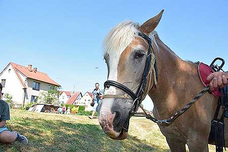 Rozloučení se školou v Dolním Třeboníně, Putování se zvířátky 24.6.2017, foto: Jan Švec