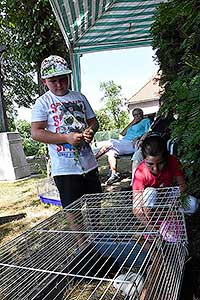 Rozloučení se školou v Dolním Třeboníně, Putování se zvířátky 24.6.2017, foto: Jan Švec