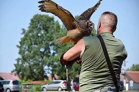 Rozloučení se školou v Dolním Třeboníně, Putování se zvířátky 24.6.2017, foto: Jan Švec