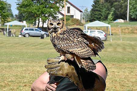 Rozloučení se školou v Dolním Třeboníně, Putování se zvířátky 24.6.2017, foto: Jan Švec