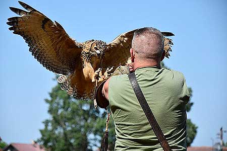 Rozloučení se školou v Dolním Třeboníně, Putování se zvířátky 24.6.2017, foto: Jan Švec