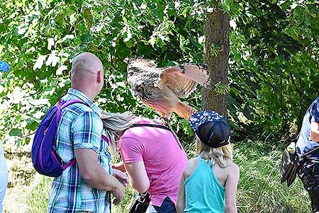 Rozloučení se školou v Dolním Třeboníně, Putování se zvířátky 24.6.2017, foto: Jan Švec