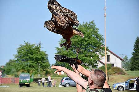 Rozloučení se školou v Dolním Třeboníně, Putování se zvířátky 24.6.2017, foto: Jan Švec