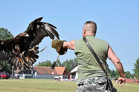 Rozloučení se školou v Dolním Třeboníně, Putování se zvířátky 24.6.2017, foto: Jan Švec