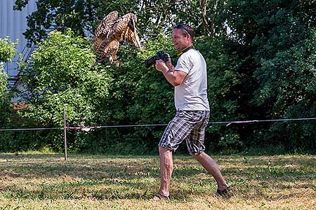 Rozloučení se školou v Dolním Třeboníně, Putování se zvířátky 24.6.2017, foto: Lubor Mrázek