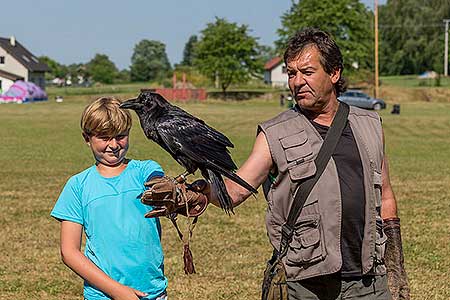 Rozloučení se školou v Dolním Třeboníně, Putování se zvířátky 24.6.2017, foto: Lubor Mrázek