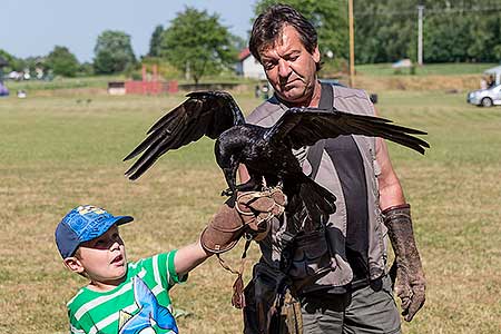 Rozloučení se školou v Dolním Třeboníně, Putování se zvířátky 24.6.2017, foto: Lubor Mrázek