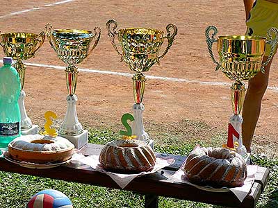 Volejbal Třebonín Open 2009