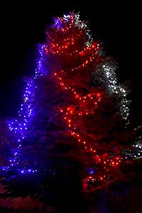 Zpívání u vánočního stromu 16.12.2017, foto: Jan Švec