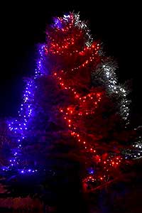 Zpívání u vánočního stromu 16.12.2017, foto: Jan Švec