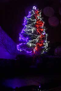 Zpívání u vánočního stromu 21.12.2019, foto: Jan Švec