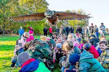 Drakiáda Dolní Třebonín 16. 10. 2021, foto: Lubor Mrázek