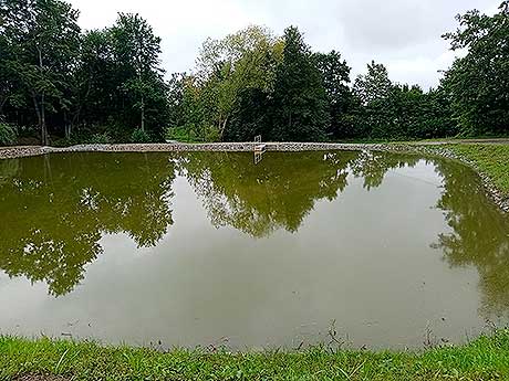 Provedení udržovacích prací Dolní Svince – rybník I, stav po realizaci