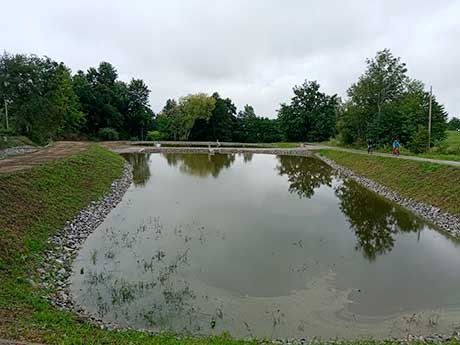 Provedení udržovacích prací Dolní Svince – rybník II, stav po realizaci