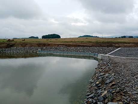 Provedení udržovacích prací Dolní Svince – rybník III, stav po realizaci