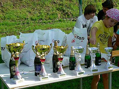 Volejbal Třebonín Open 2010