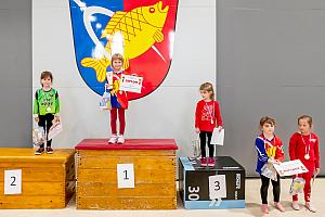 Závody mladých hasičů v překážkové dráze, sportovní hala Dolní Třebonín 13. 4. 2024, foto: Lubor Mrázek