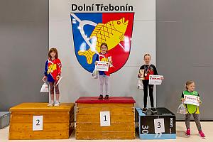Závody mladých hasičů v překážkové dráze, sportovní hala Dolní Třebonín 13. 4. 2024, foto: Lubor Mrázek