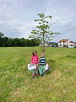 Jarní Dětský Třebonín Petangue Open 26. 5. 2024