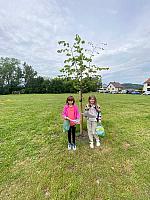 Jarní Dětský Třebonín Petangue Open 26. 5. 2024