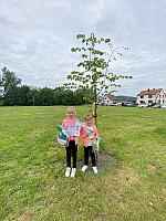 Jarní Dětský Třebonín Petangue Open 26. 5. 2024