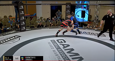 Jan Janouch získal na mistrovství Evropy MMA ve Vysokých Tatrách v roce 2024 bronzovou medaili za 3. místo