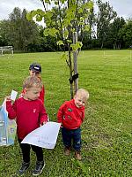 Dětský Třebonín Petangue Open 25. 5. 2025