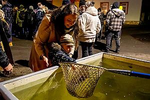 Zpívání u vánočního stromu, Dolní Třebonín 20. prosince 2025, foto: Lubor Mrázek