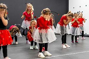 Setkání důchodců, restaurace SKC Dolní Třebonín 5. března 2026, foto: Lubor Mrázek