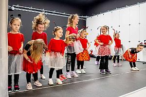 Setkání důchodců, restaurace SKC Dolní Třebonín 5. března 2026, foto: Lubor Mrázek