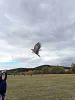 Drakiáda Dolní Třebonín 24. 10. 2026
