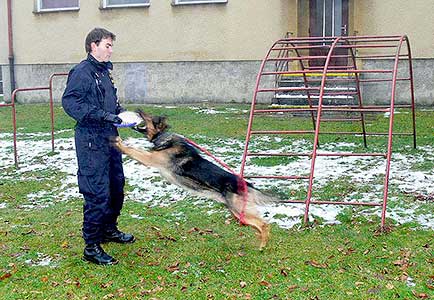 Zástupci Policie ČR předvedli ukázky své činnosti v ZŠ a MŠ Dolní Třebonín, 22. listopadu 2007, foto: Jan Švec