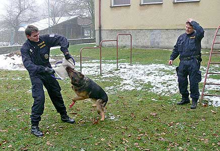 Zástupci Policie ČR předvedli ukázky své činnosti v ZŠ a MŠ Dolní Třebonín, 22. listopadu 2007, foto: Jan Švec