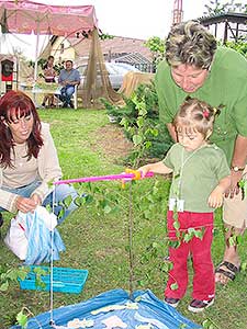 Cesta pohádkami, Dolní Třebonín 25.6.2004