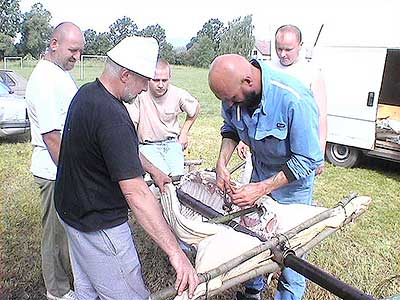 Cesta pohádkami, Dolní Třebonín 25.6.2004