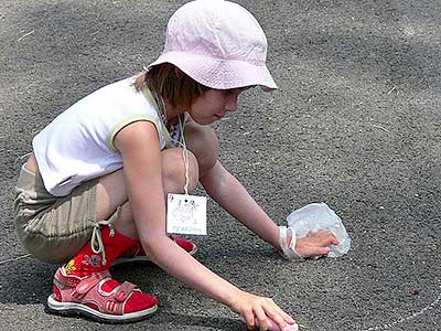 Cesta pohádkami, Dolní Třebonín 24.6.2006